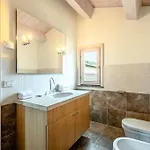 فيلة Aquila تريكواندا